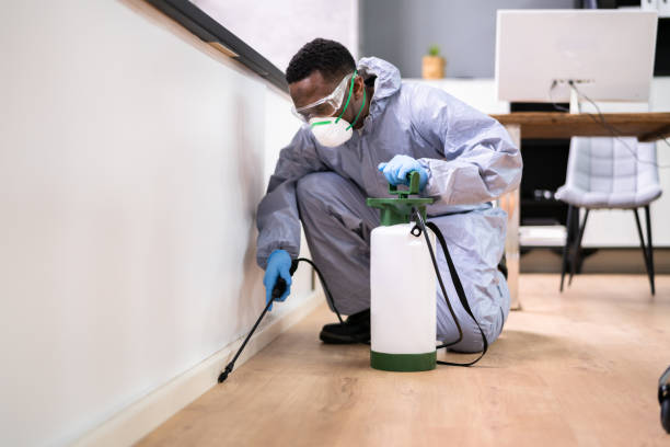 Best Pest Exclusion Services  in Southmont, PA